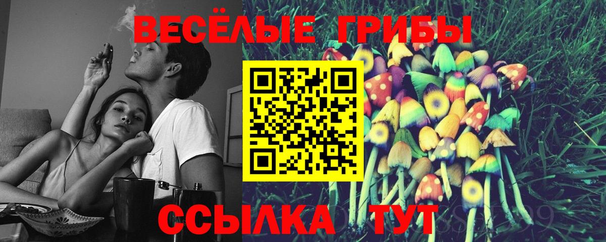 Галлюциногенные грибы Magic Shrooms  Вход с VPN  Галлюциногенные грибы мицелий  Карталы 